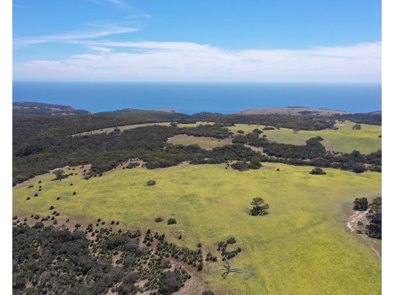 Lot 3 North Coast Road, Cassini SA 5223