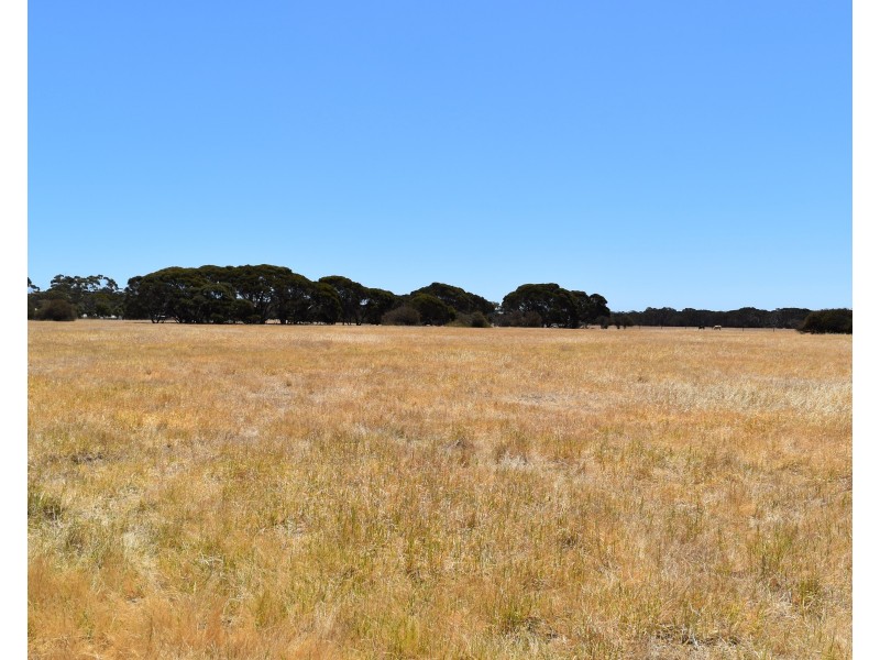 274 Gum Creek Road, Cygnet River SA 5223