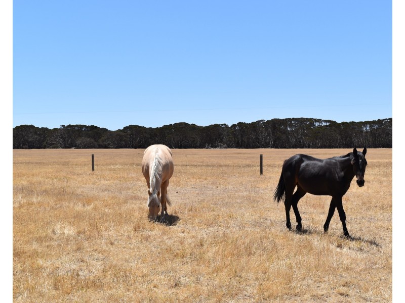 274 Gum Creek Road, Cygnet River SA 5223