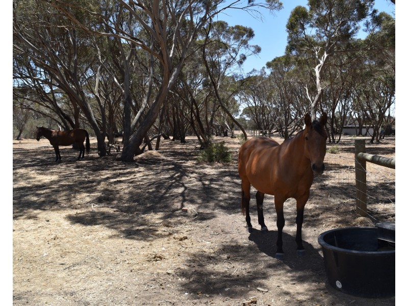 274 Gum Creek Road, Cygnet River SA 5223