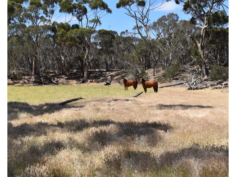 274 Gum Creek Road, Cygnet River SA 5223