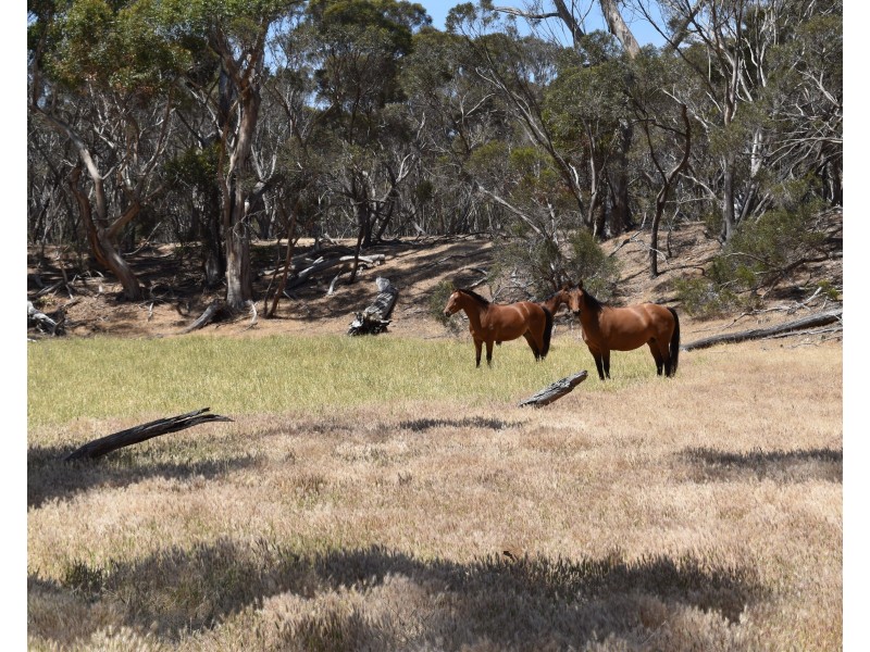 274 Gum Creek Road, Cygnet River SA 5223