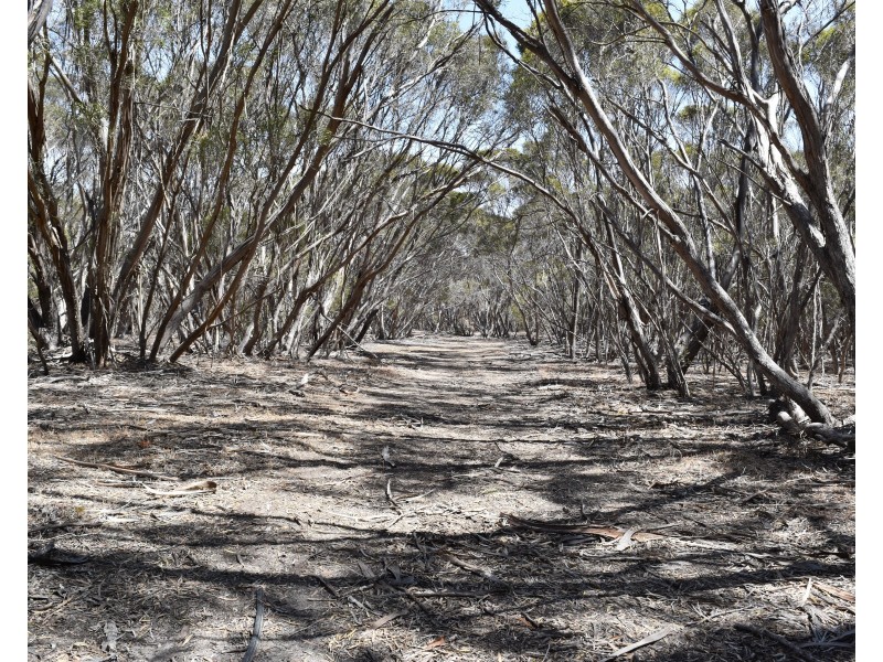 274 Gum Creek Road, Cygnet River SA 5223