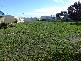 109 LOT  LEANDER AVENUE, Baudin Beach SA 5222