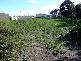 109 LOT  LEANDER AVENUE, Baudin Beach SA 5222