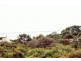 202 LOT  ISLAND BEACH ROAD, Island Beach SA 5222