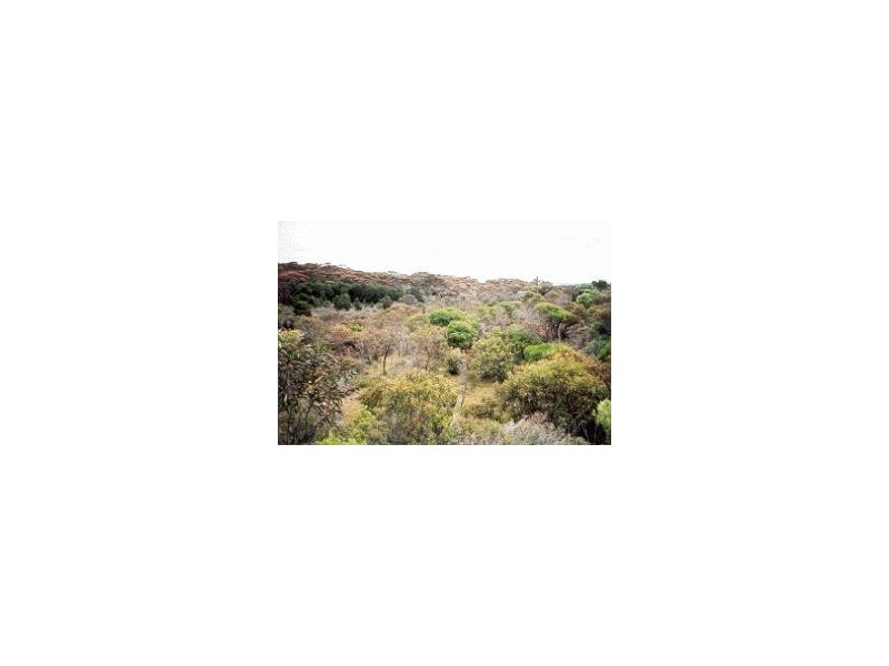 202 LOT  ISLAND BEACH ROAD, Island Beach SA 5222