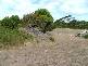 101 LOT  LEANDER AVENUE, Baudin Beach SA 5222