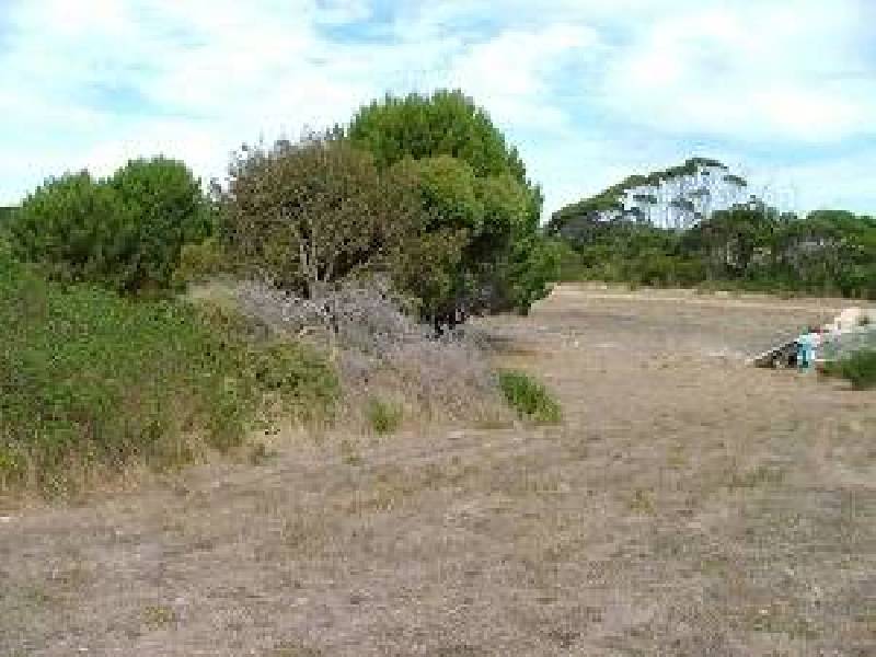 101 LOT  LEANDER AVENUE, Baudin Beach SA 5222
