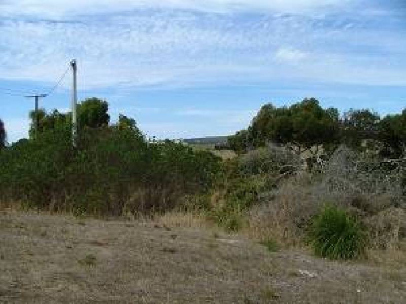101 LOT  LEANDER AVENUE, Baudin Beach SA 5222