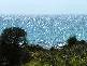 54 LOT, Penneshaw SA 5222