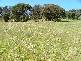 54 LOT, Penneshaw SA 5222