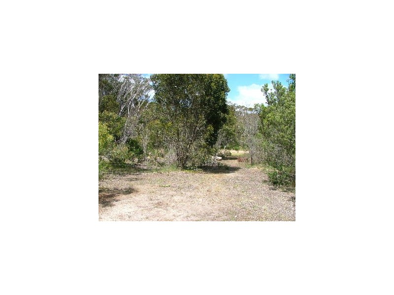 Lot 173 Hog Bay Road, Baudin Beach SA 5222