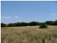 LOT 9 FLORANCE ROAD HUNDRED OF HAINES, American River SA 5221