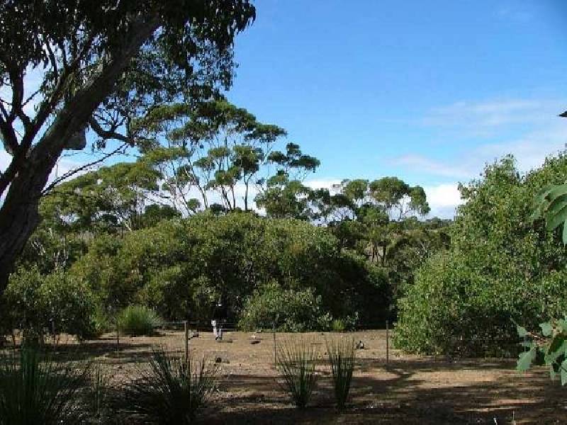 52 Johncocks Road, Middle River SA 5223