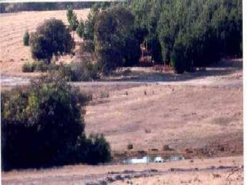 52 Johncocks Road, Middle River SA 5223