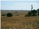 Lot 9 Morcombe Road, Moonta SA 5558