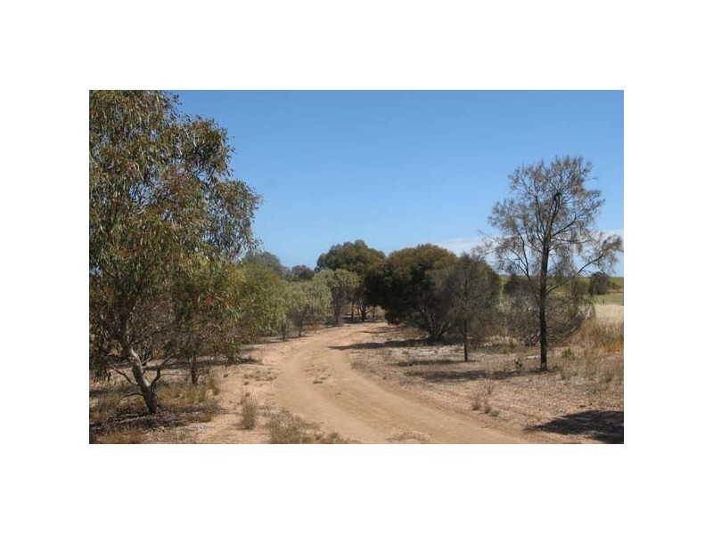 Lot 588 Rossiters Road, Moonta Bay SA 5558