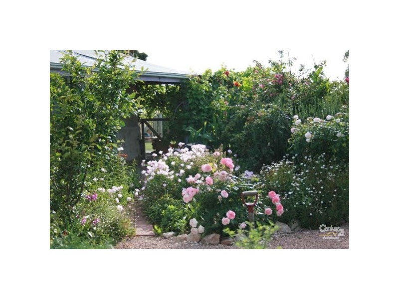 329 Derrington Terrace, Moonta SA 5558