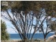 Lot 1 Hughes Avenue, Moonta Bay SA 5558