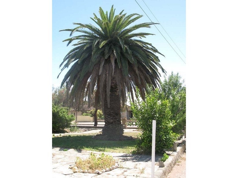 41 Caroline Street, Moonta SA 5558