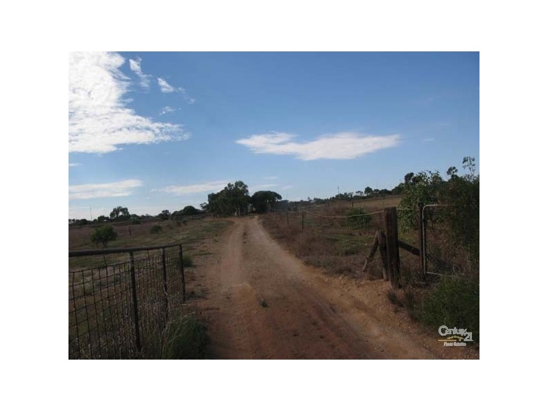 Lots 51 & 65 Jacka Lane, Moonta SA 5558