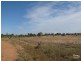 Lots 51 & 65 Jacka Lane, Moonta SA 5558