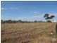 Lots 51 & 65 Jacka Lane, Moonta SA 5558