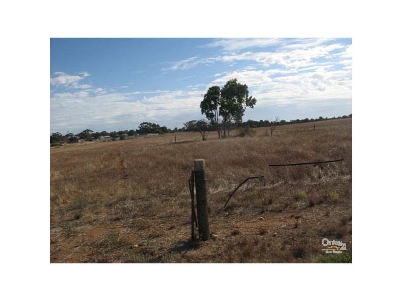 Lots 51 & 65 Jacka Lane, Moonta SA 5558