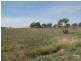 Lot 51 Maitland Road, Moonta SA 5558