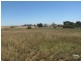 Lot 51 Maitland Road, Moonta SA 5558