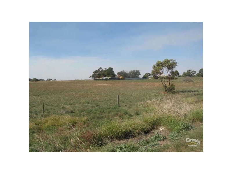 Lot 51 Maitland Road, Moonta SA 5558