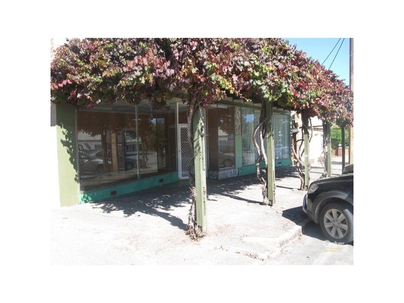 38-40 Elizabeth Street, Maitland SA 5573