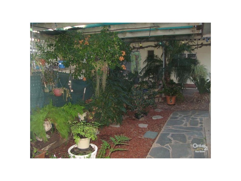 74 Graves Street, Kadina SA 5554