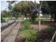 43 Milne Terrace, Moonta SA 5558