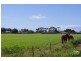 Lot 486 Wallaroo Road, Moonta SA 5558