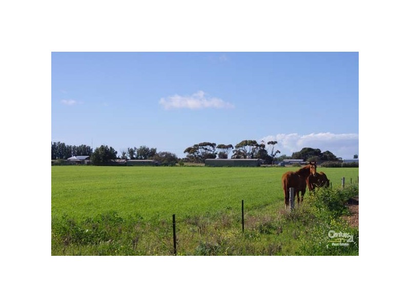 Lot 486 Wallaroo Road, Moonta SA 5558