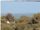 39a South Terrace, Port Hughes SA 5558