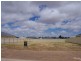 Lot 116 John Olsen Drive, Kadina SA 5554