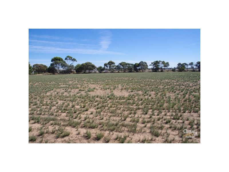 16-18 Muddy Lane, Moonta SA 5558