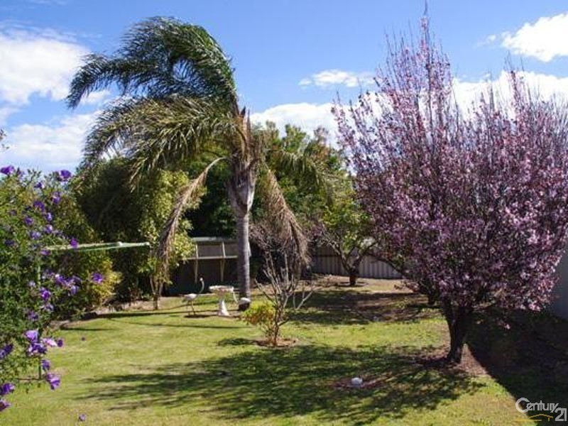 54 Wallaroo Road, Moonta SA 5558