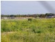 Lot 15 Hills Road, Moonta SA 5558