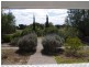 784 Hare Terrace, Moonta SA 5558