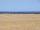 Lot 726 Old Wallaroo Road, Moonta Bay SA 5558