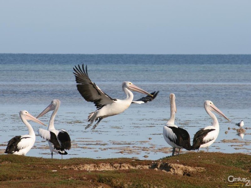 5 Richards Terrace, Port Hughes SA 5558