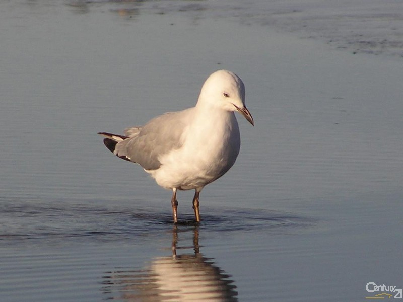 5 Richards Terrace, Port Hughes SA 5558