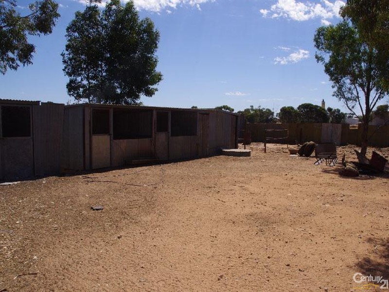 51 Crutchett Road, North Moonta SA 5558