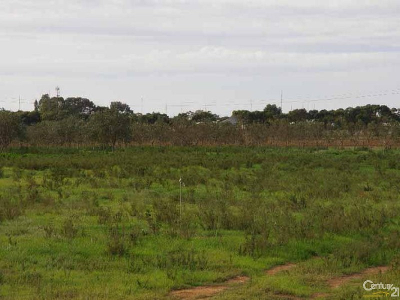 Sec 1619 Sobey Road, Kadina SA 5554