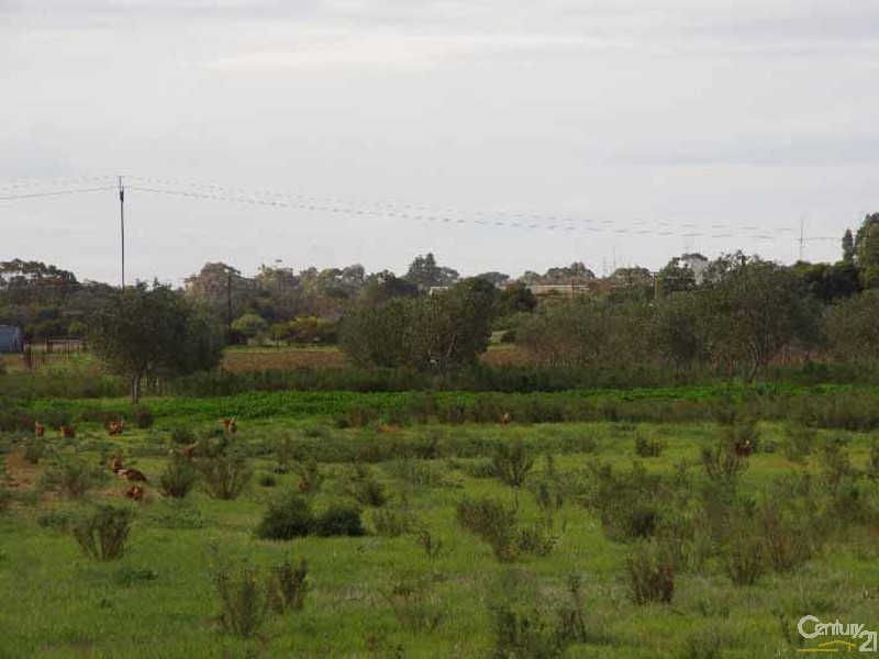 Sec 1619 Sobey Road, Kadina SA 5554