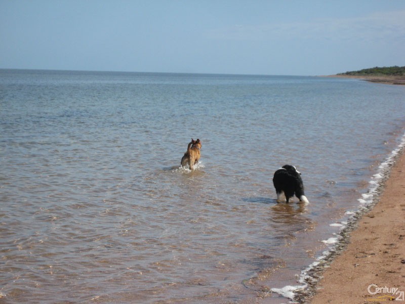 507 Coast Road, Tickera SA 5555